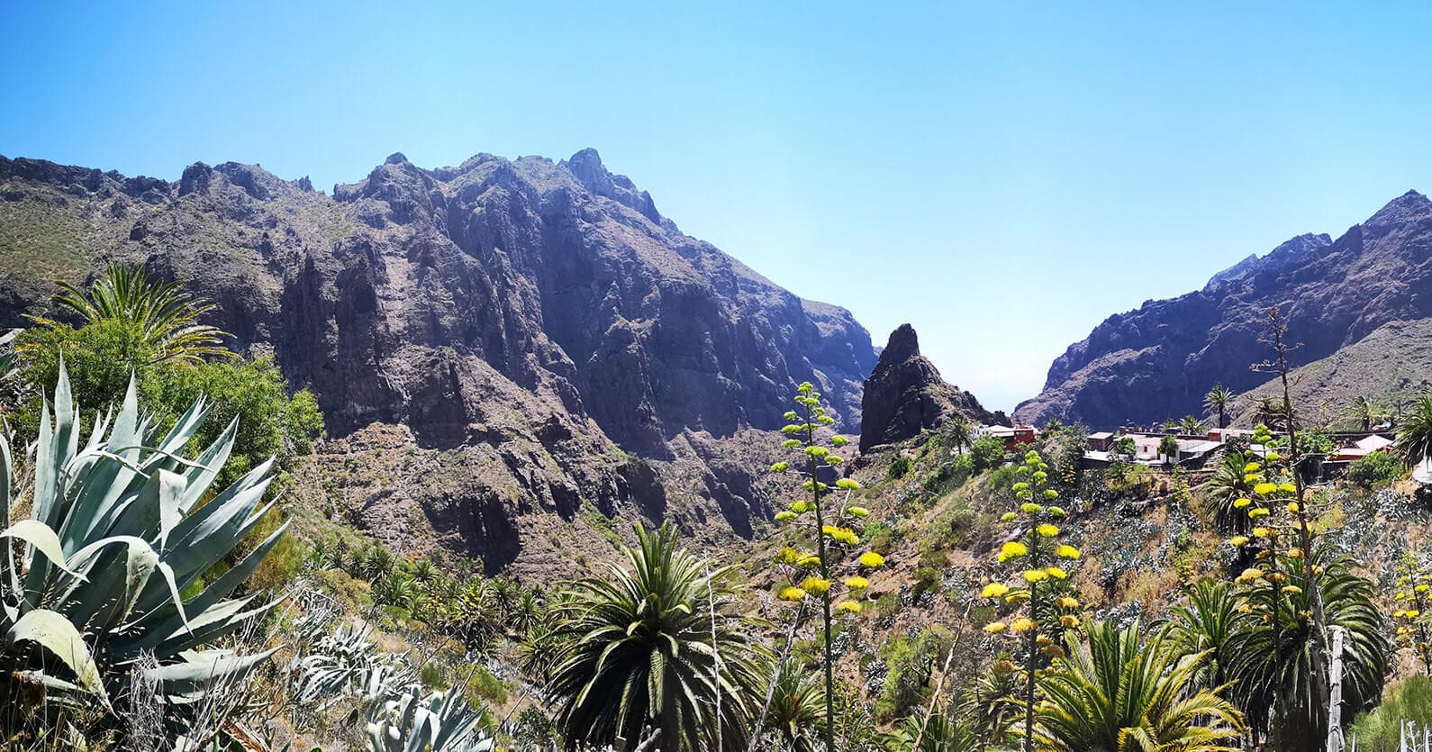 Masca & Garachico (Salida desde el Sur)