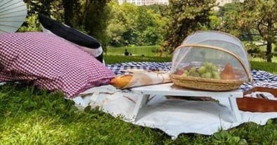 Catering Picnic Option Two