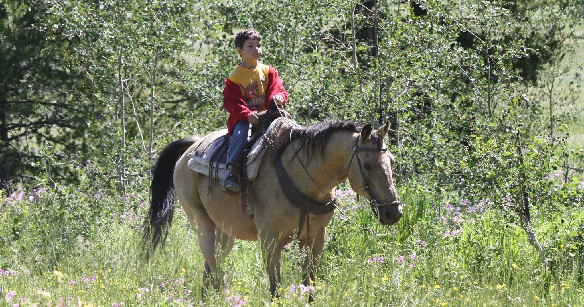 Evening 2 Hour Ride ($85)