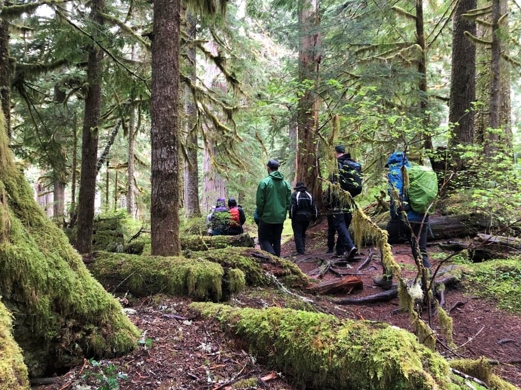 Winter Mt. Rainier - Longmire Only Tour