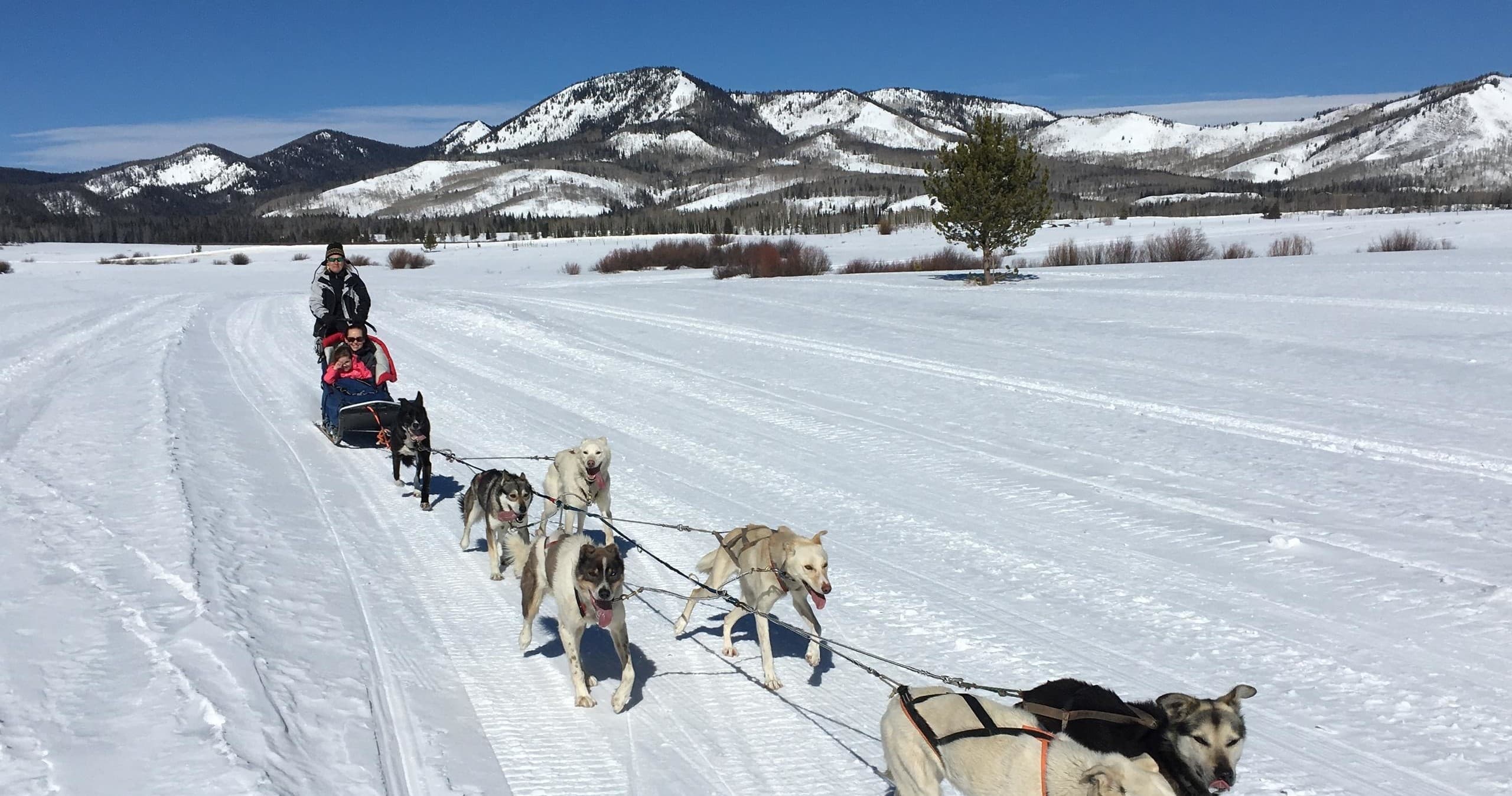 Drive Your Own Team Tour
