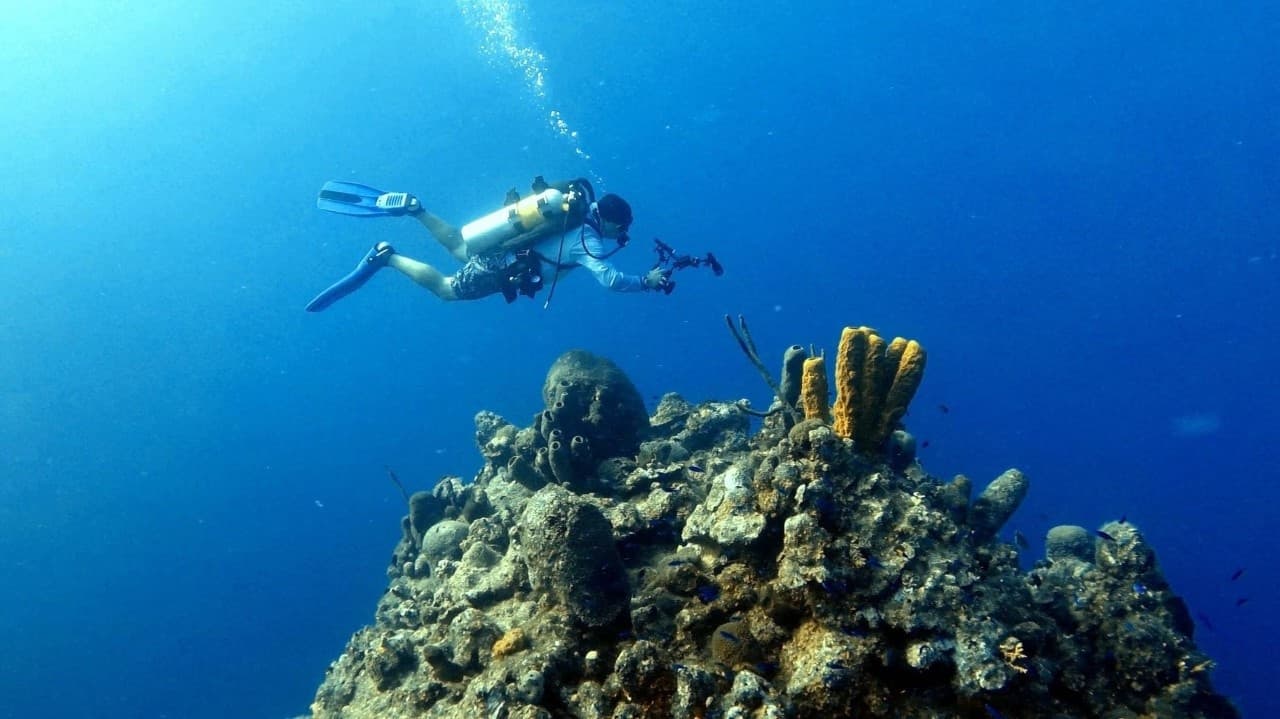 Two Tank Boat Dive or Snorkel