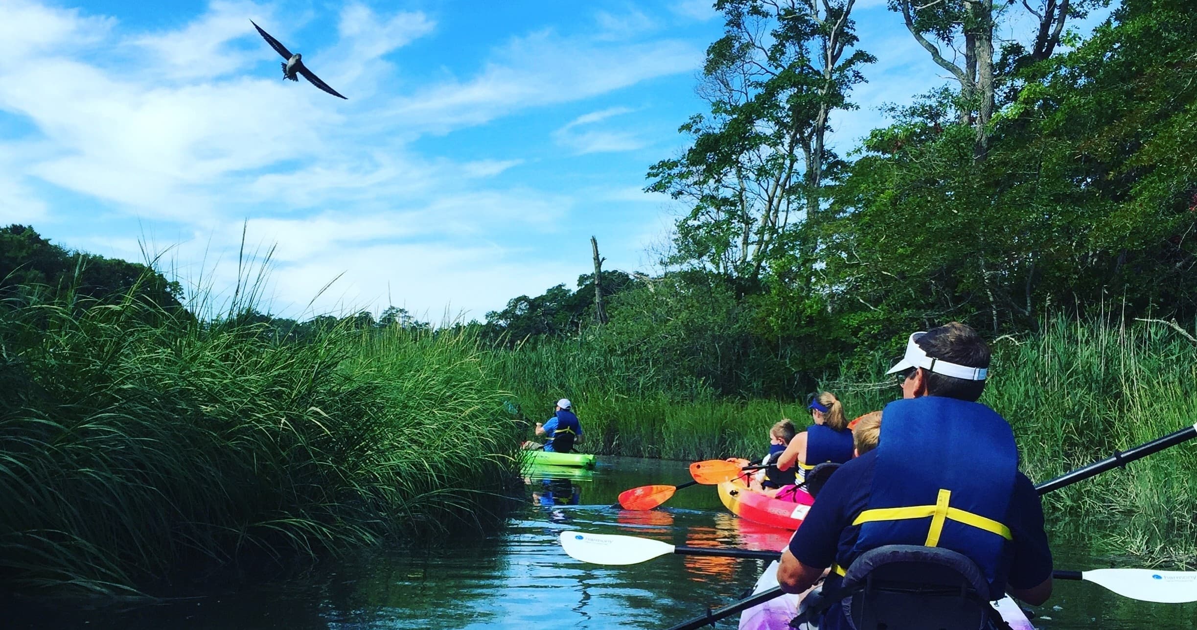 Kayak the Creek Nature Tour