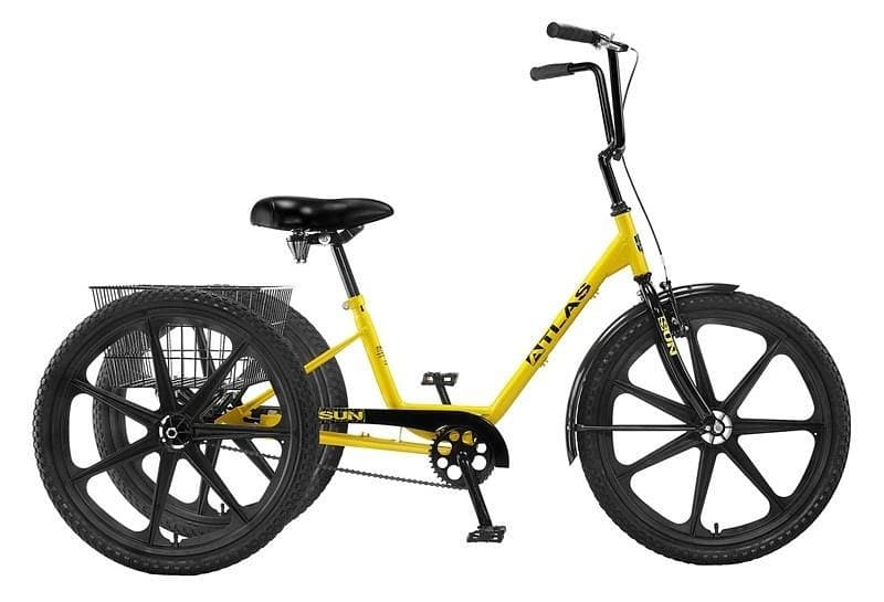 Standard Adult Tricycle
