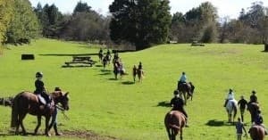 Farm Rides