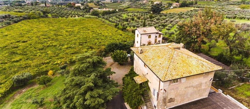 Half day wine tour in Frascati