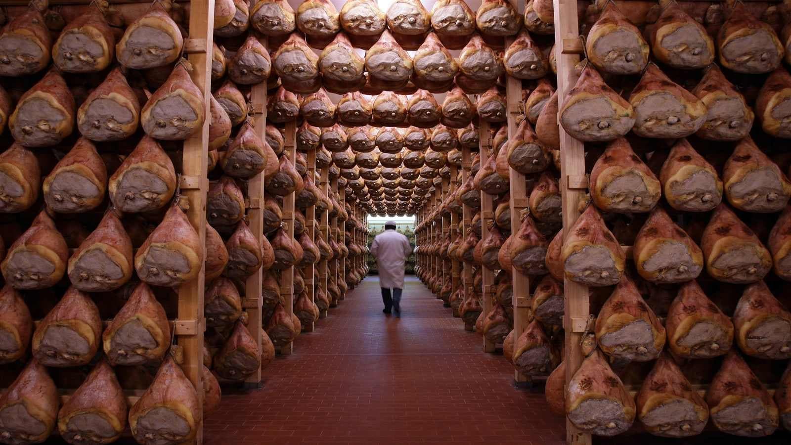 Parma's Food Farm Excellences - From Bologna or Modena