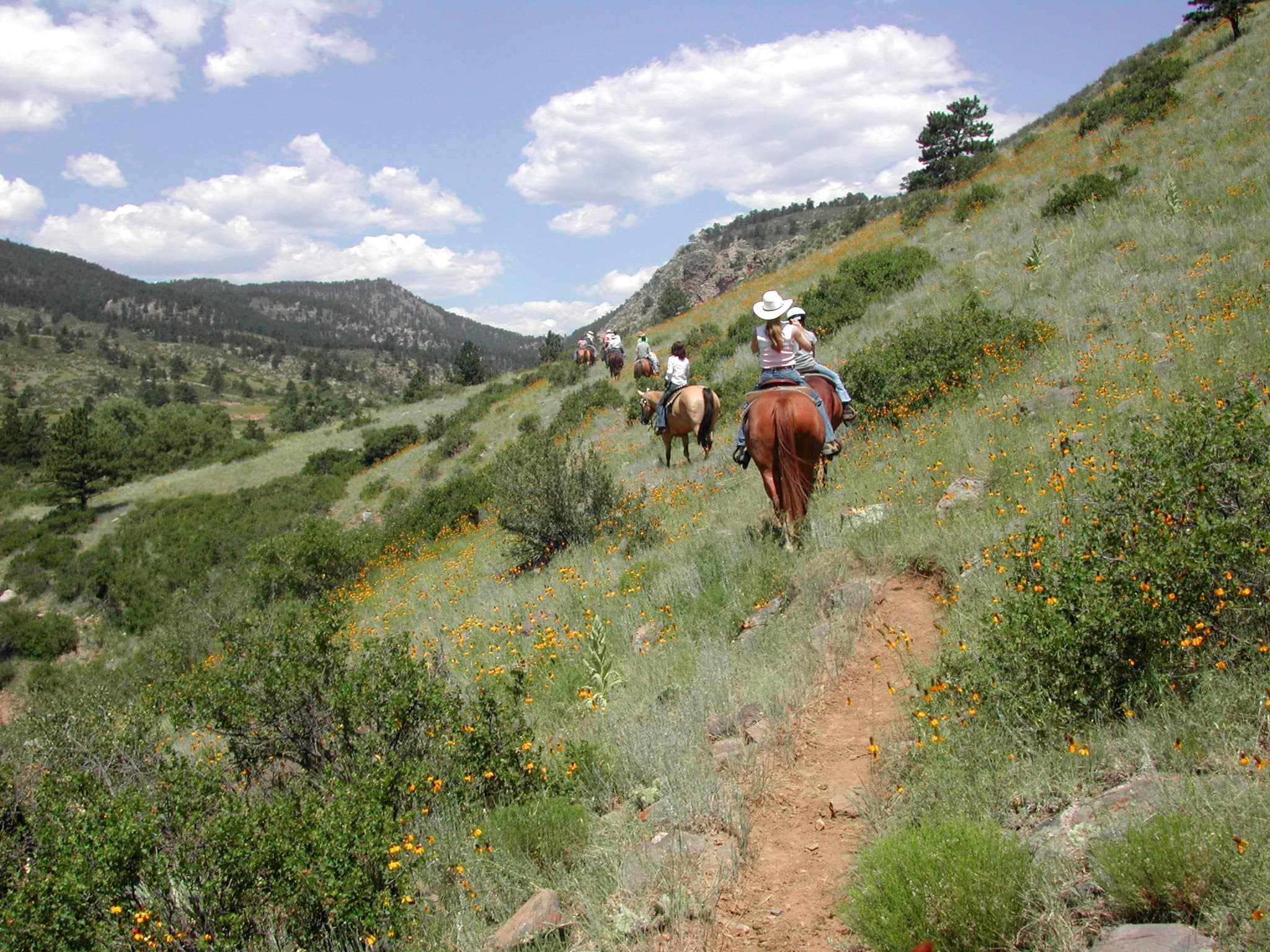 1 Hour Scenic Trail Ride