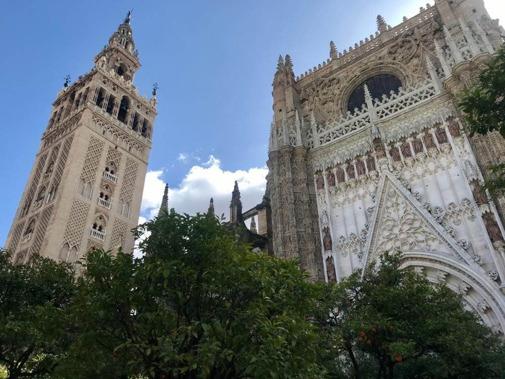 Exclusive Cathedral & Giralda tour - Priority access