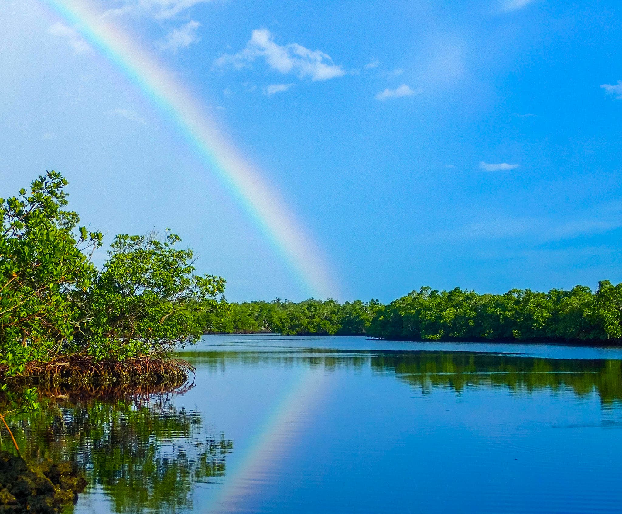 Essence of the Estuary Eco-Cruise