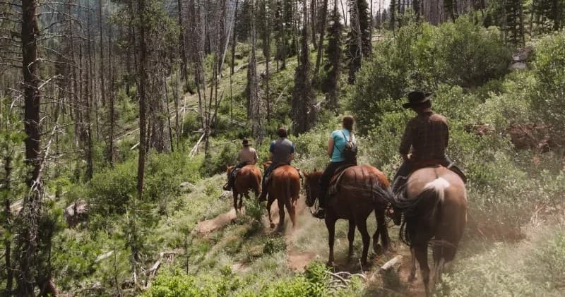 Half Day Horseback Trail Rides