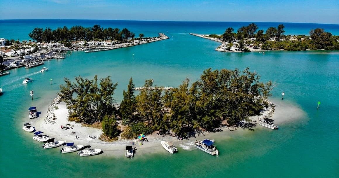 2 hr / Wildlife Tour / Tiki Bar Hop