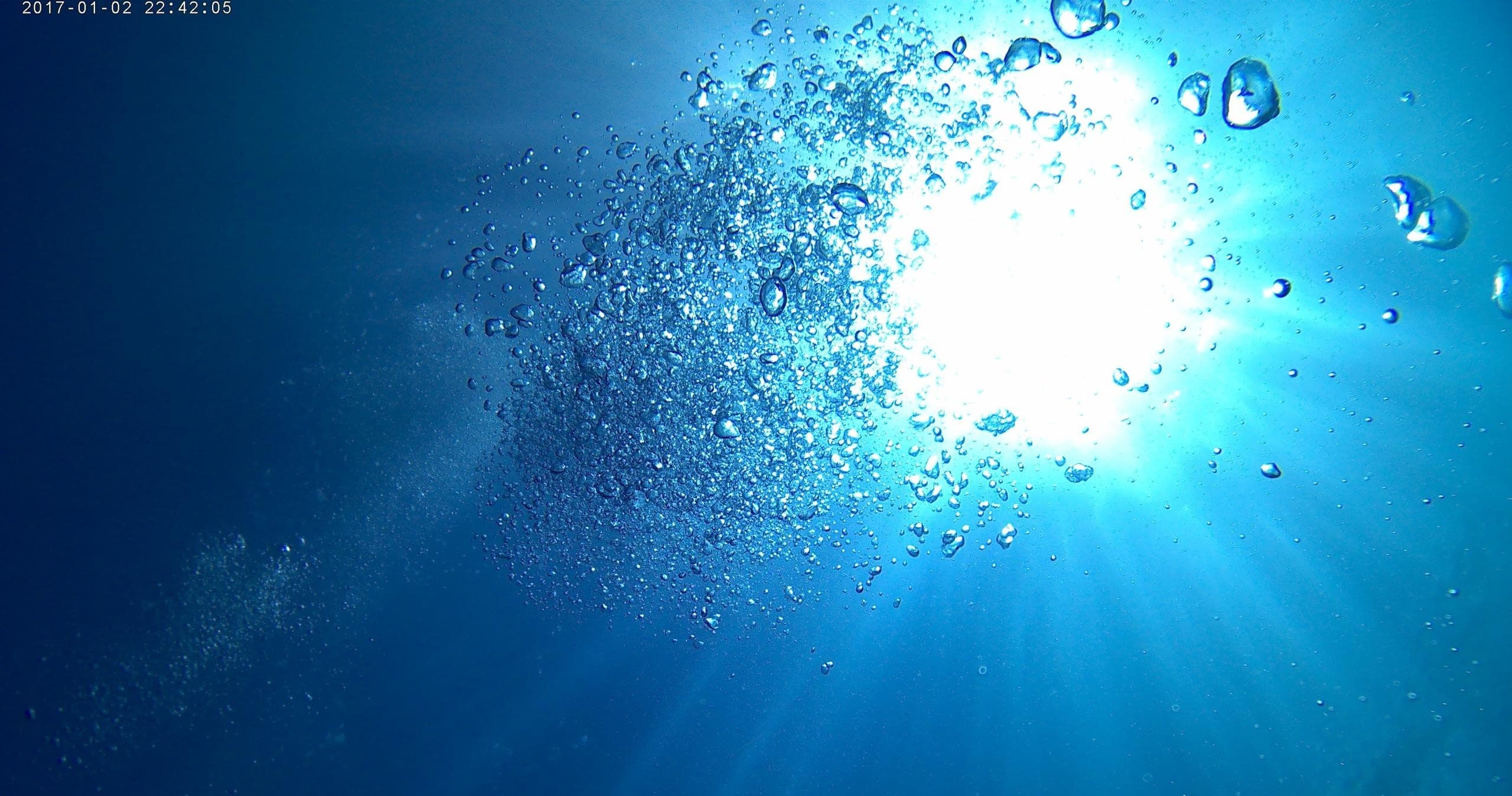 Open Water Diver Course Day 1