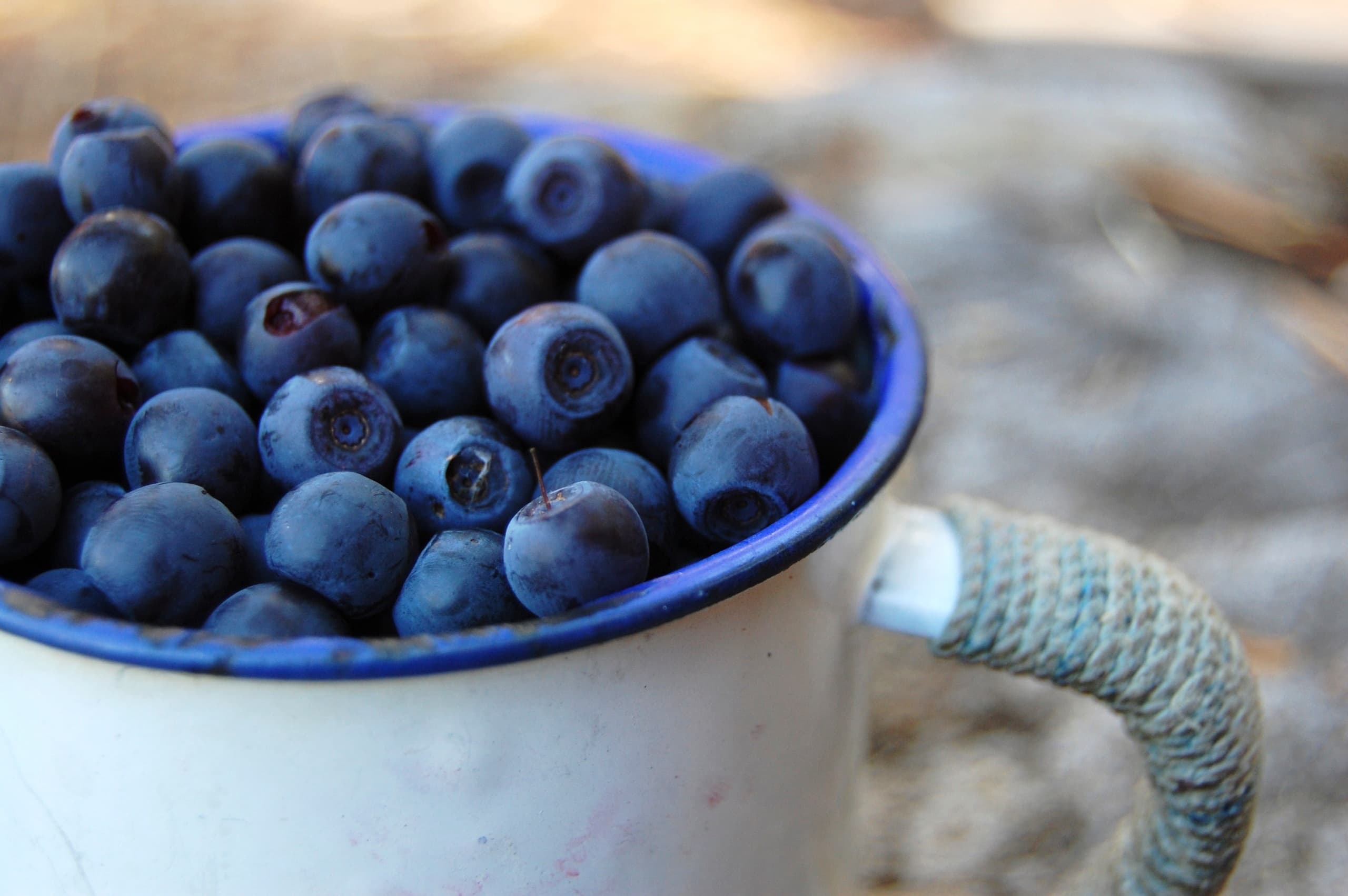Berry Picking