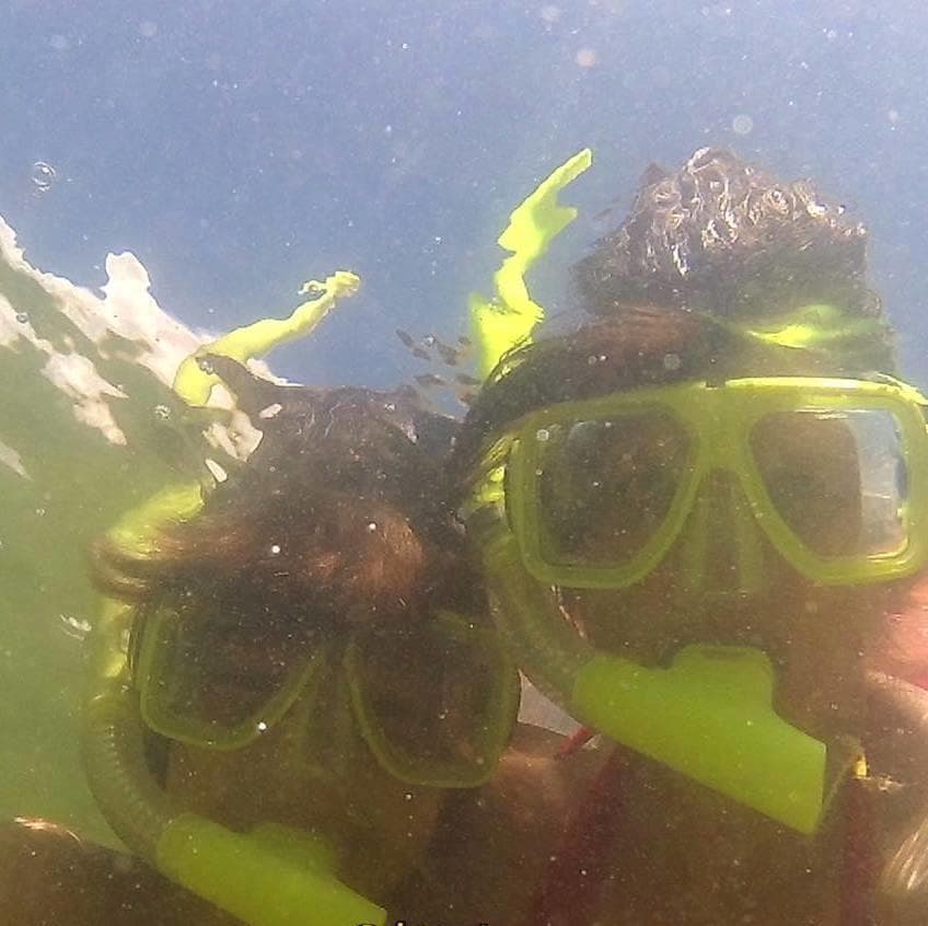 Private OR Semi Private 3 Hr Dolphin Cruise and Snorkeling Excursion (up to 6 guests)