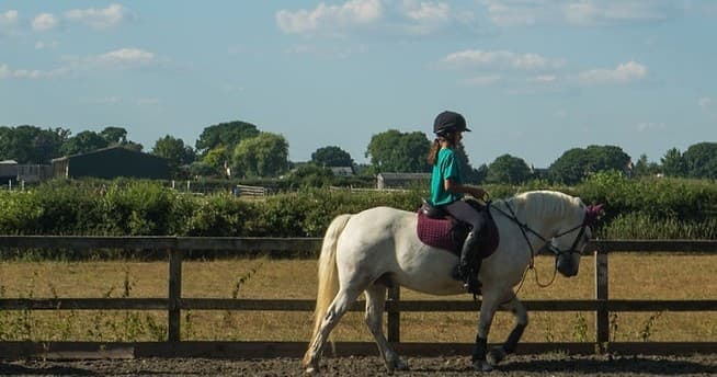 Private Riding Lesson