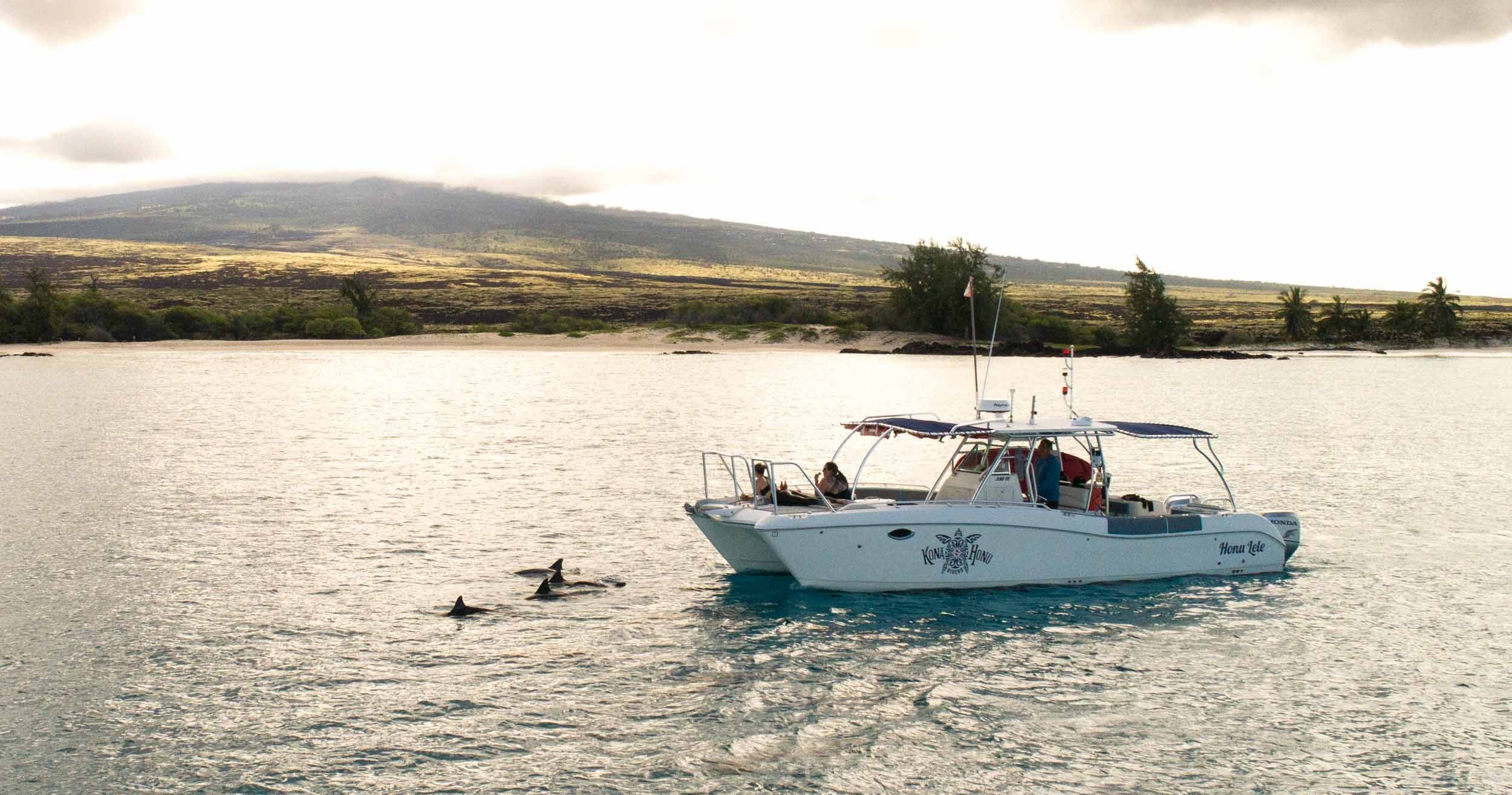 Private Charter Honu Lele