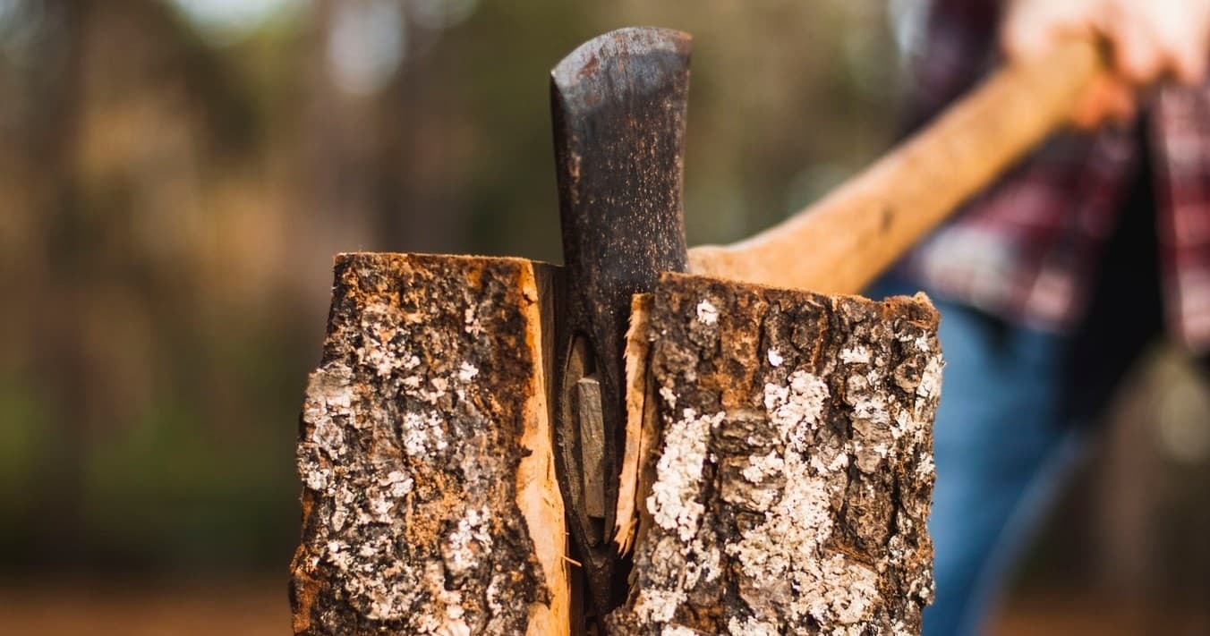 The Lumberjack Experience