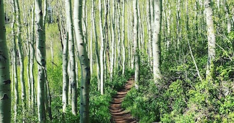 Hiking