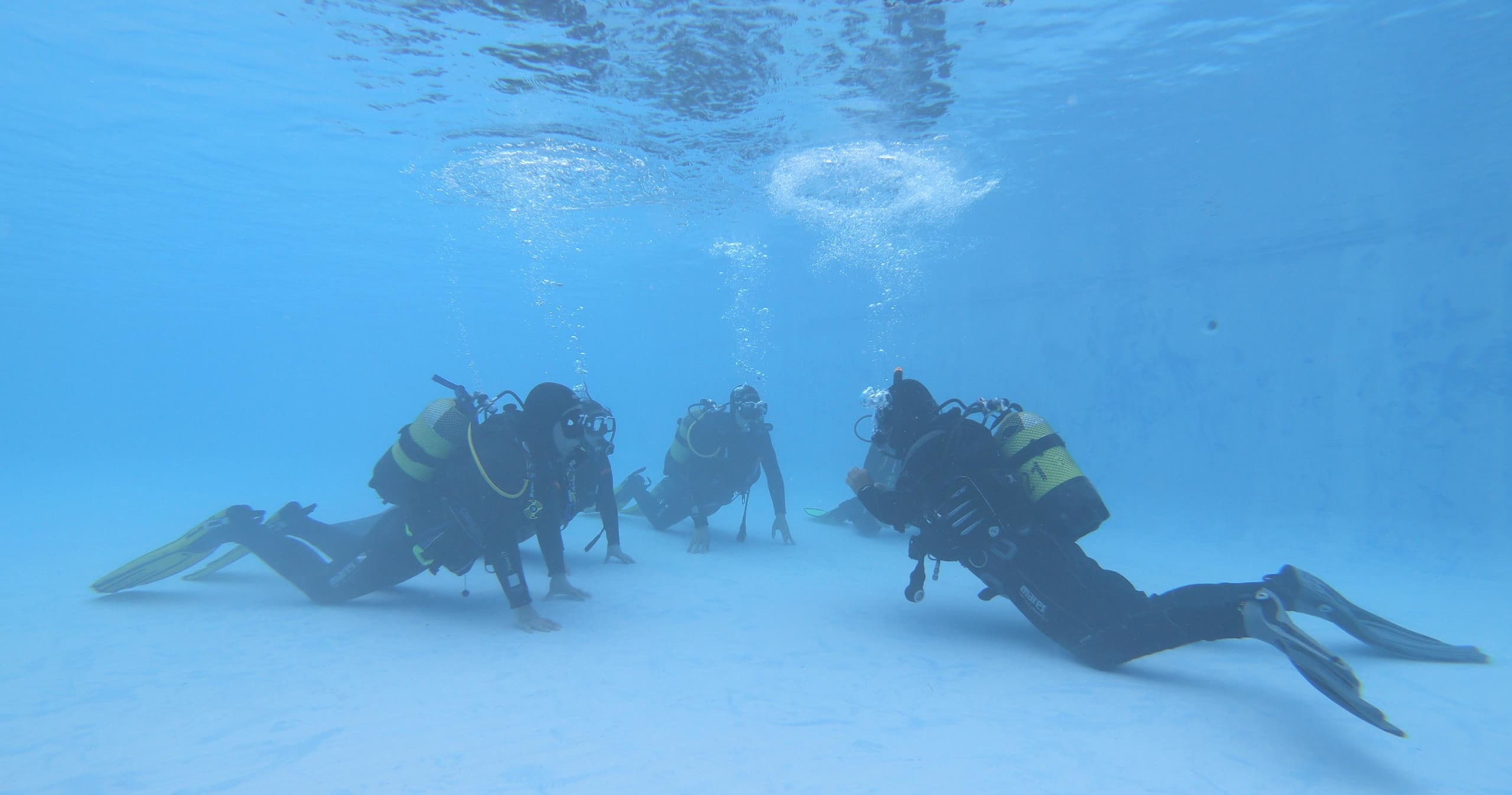 Scuba Diving Experience
