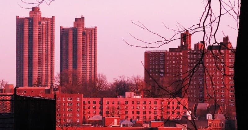 In Da’ Bronx