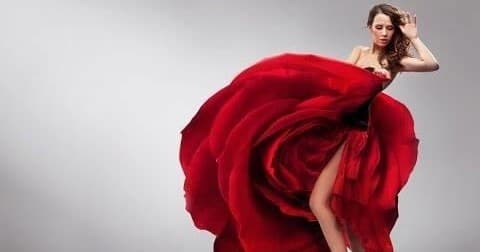 Sabores y Flamenco en Madrid Tour Para grupos