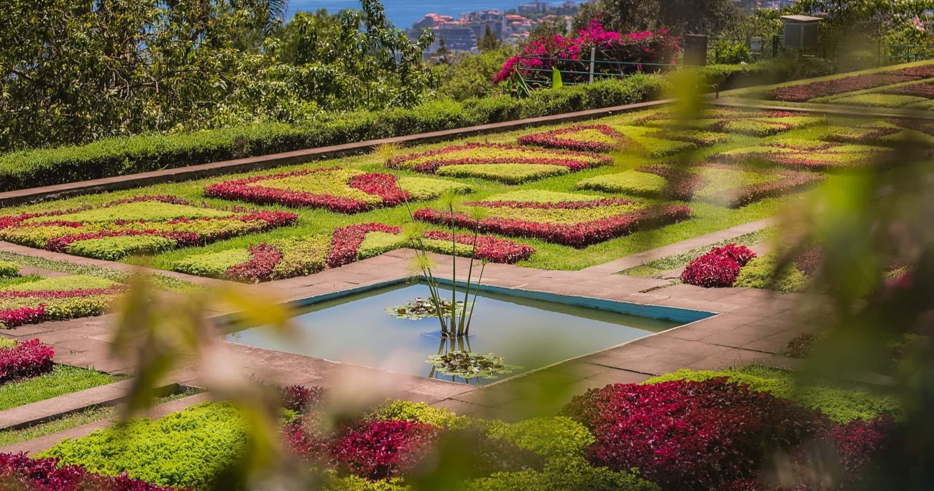 Funchal Old Town & Botanical Garden by Tuk-Tuk