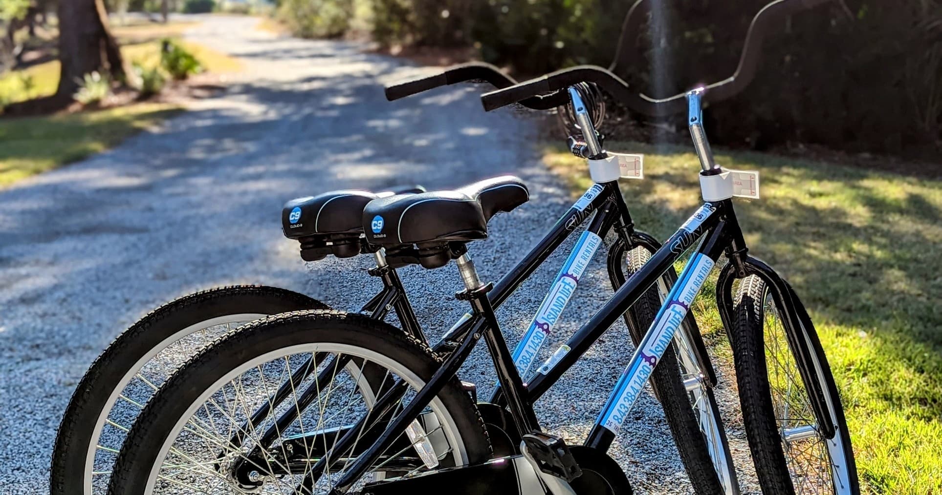 6 Day Rental