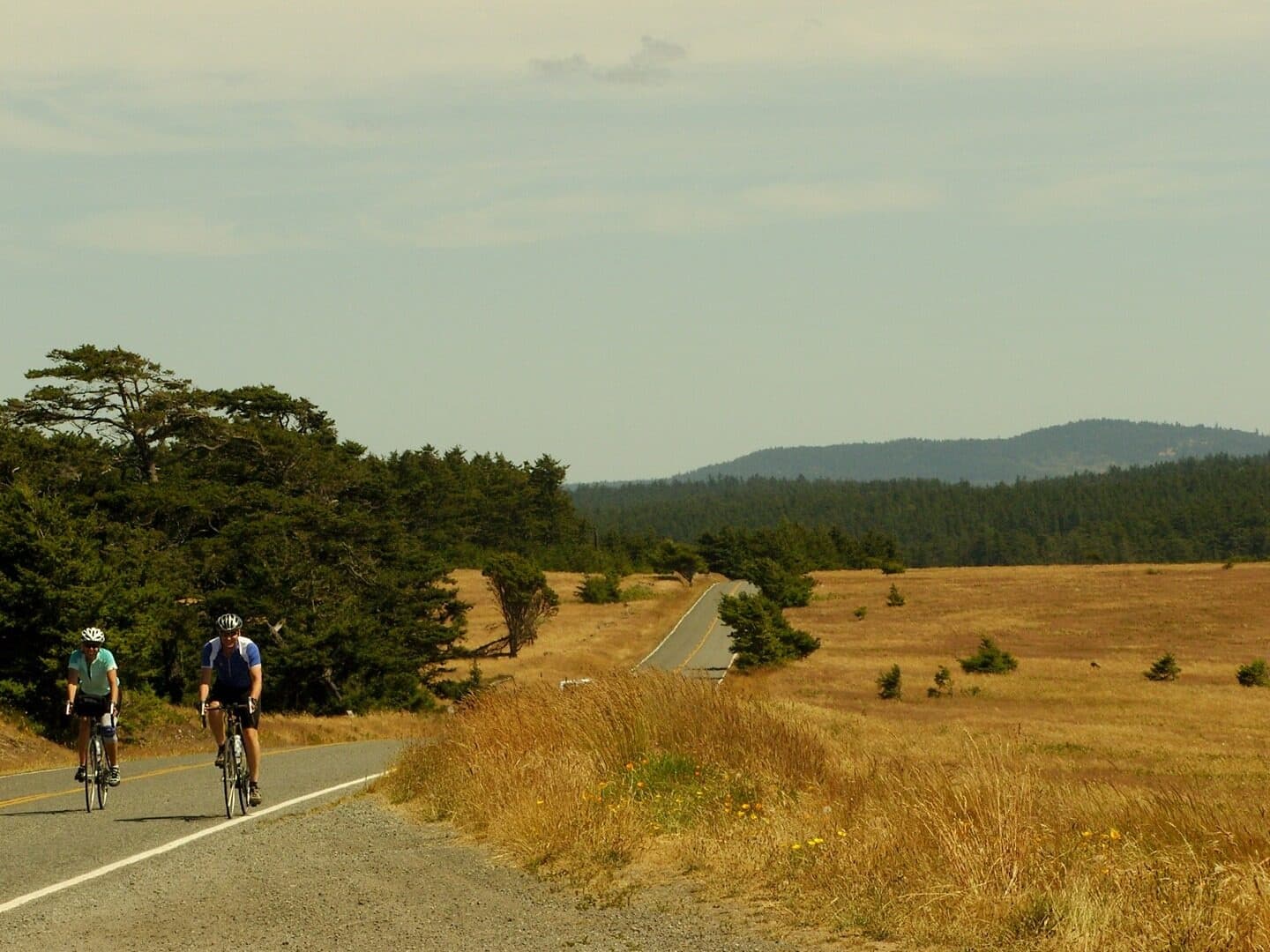 Bespoke Private Guided E-Bike Tour