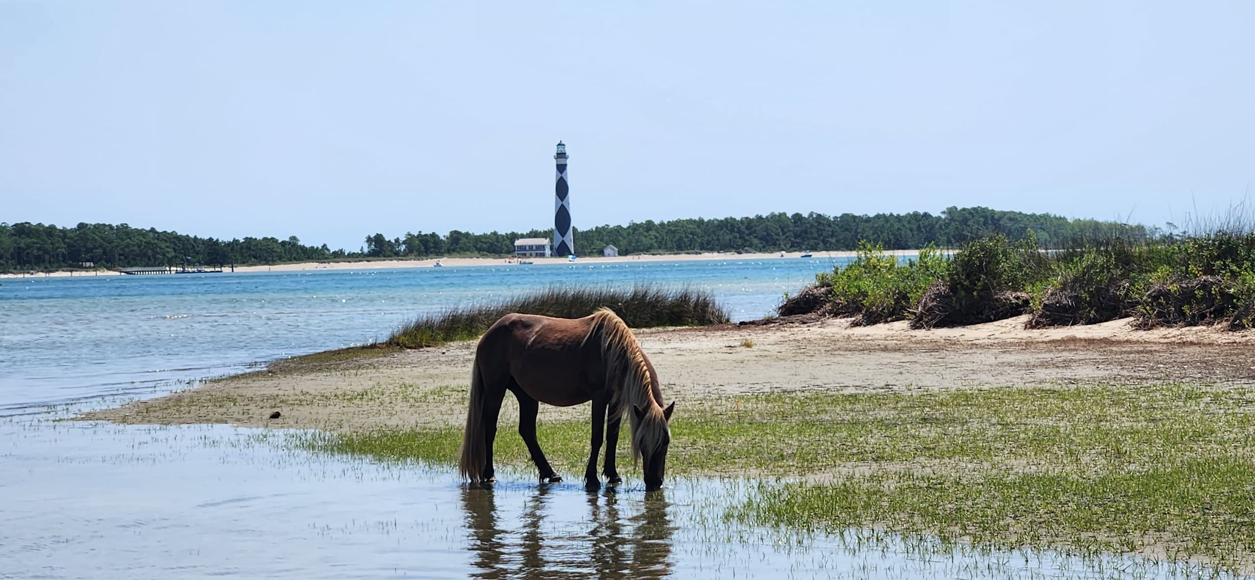 Double Trouble: Shack Attack and a Lighthouse!!