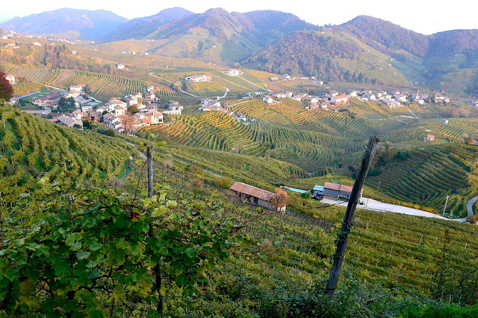 Prosecco Wine Tour