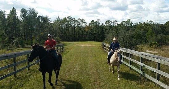 One Hour Guided Trail Ride - Historic Buildings on 450 acres