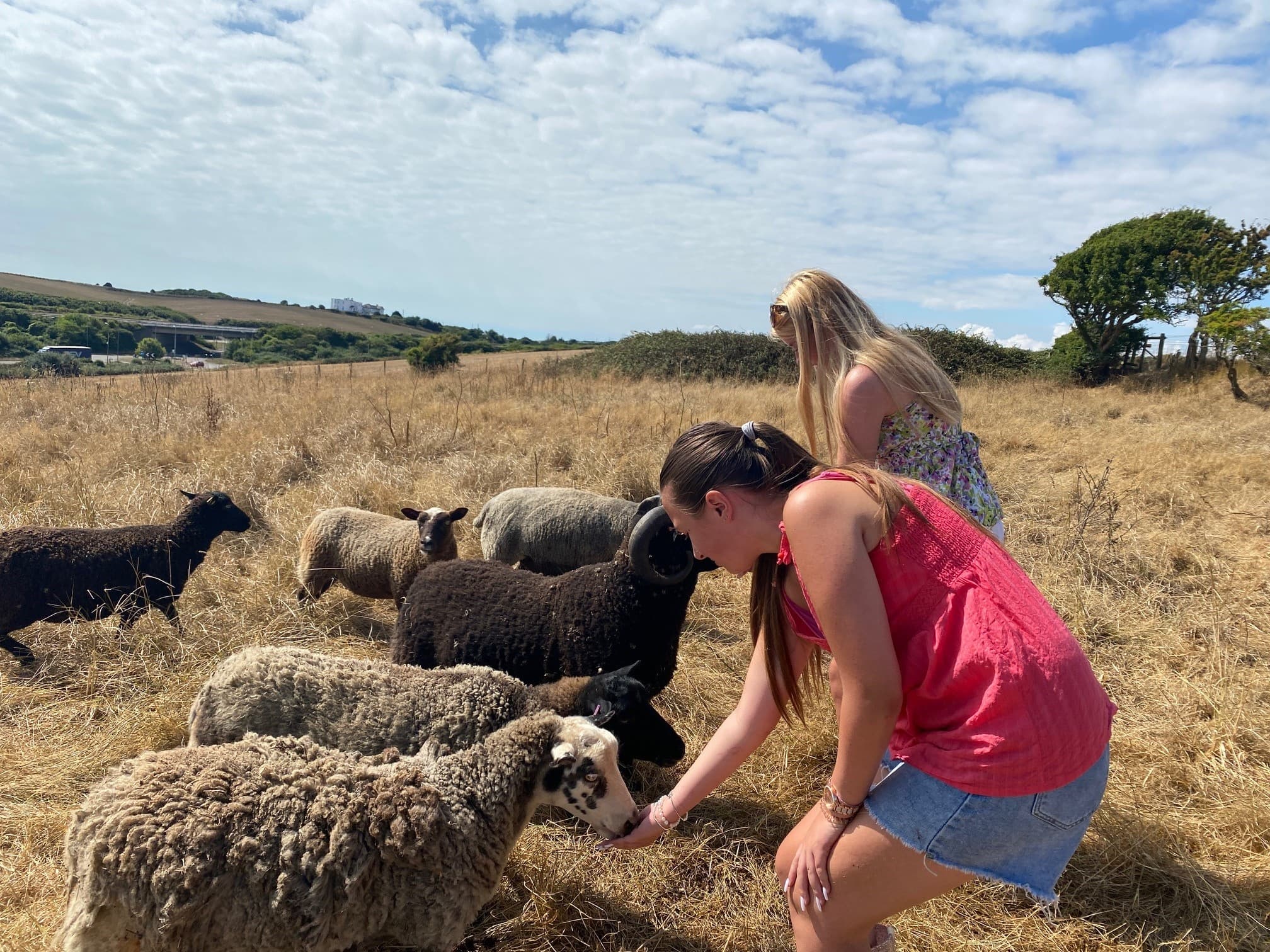 V.I.P Farm Experience Tour