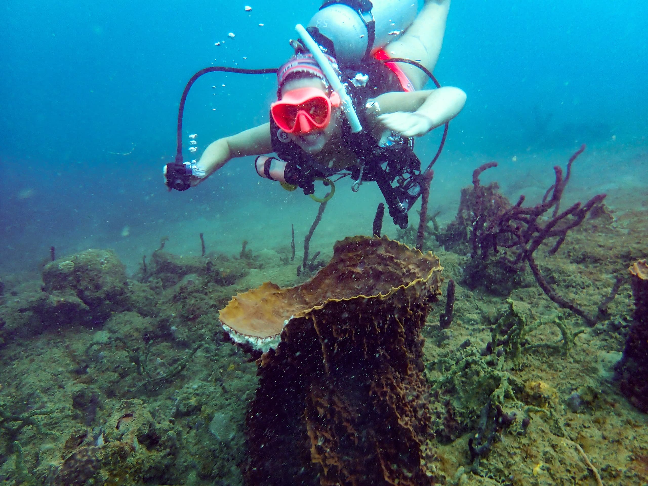 Private Guided Shore Dive