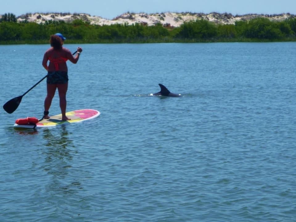 St Augustine Dolphin and Sunset Paddles