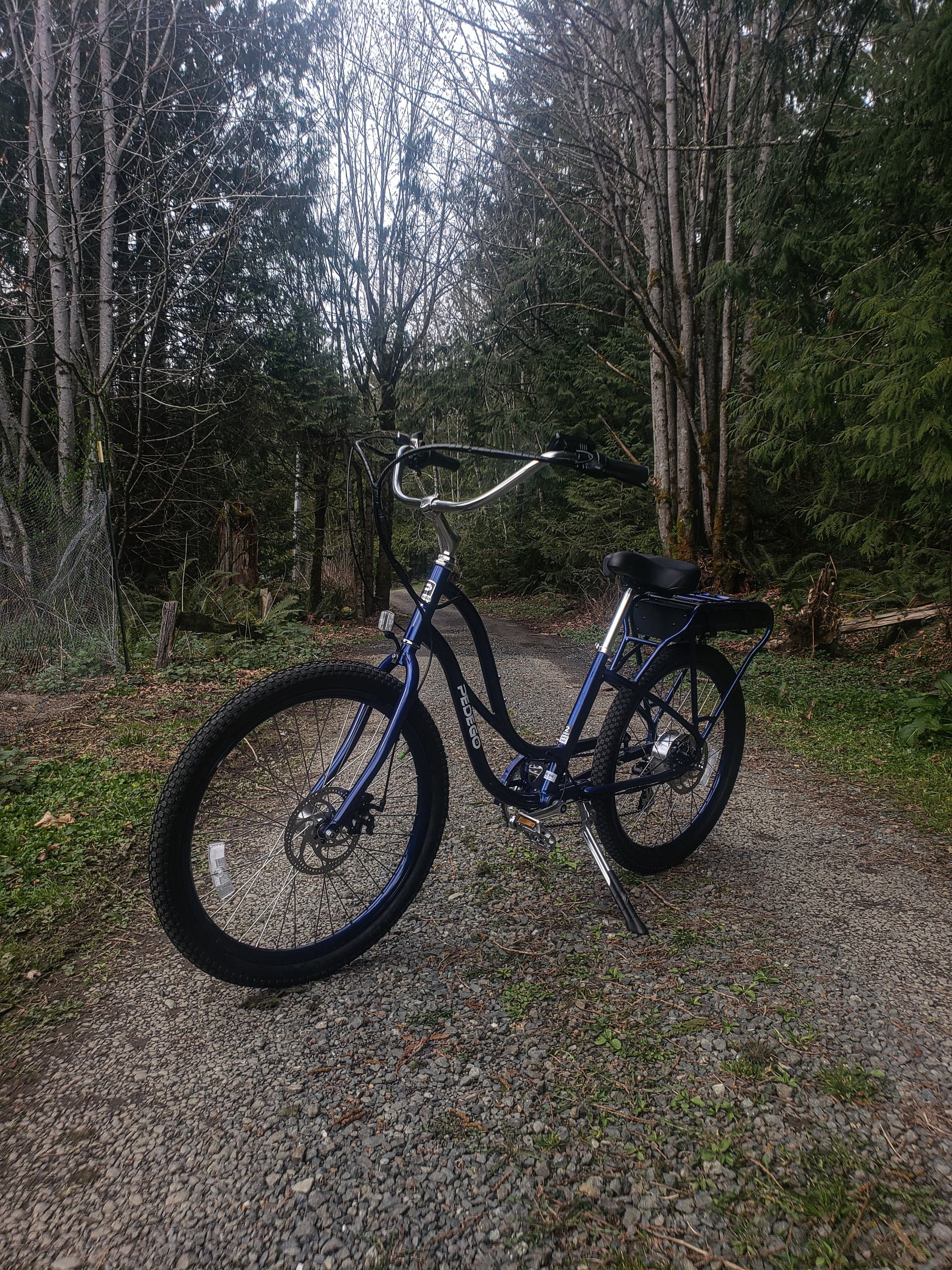 Comfort Cruiser eBike Rental