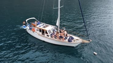Gaviao Madeira