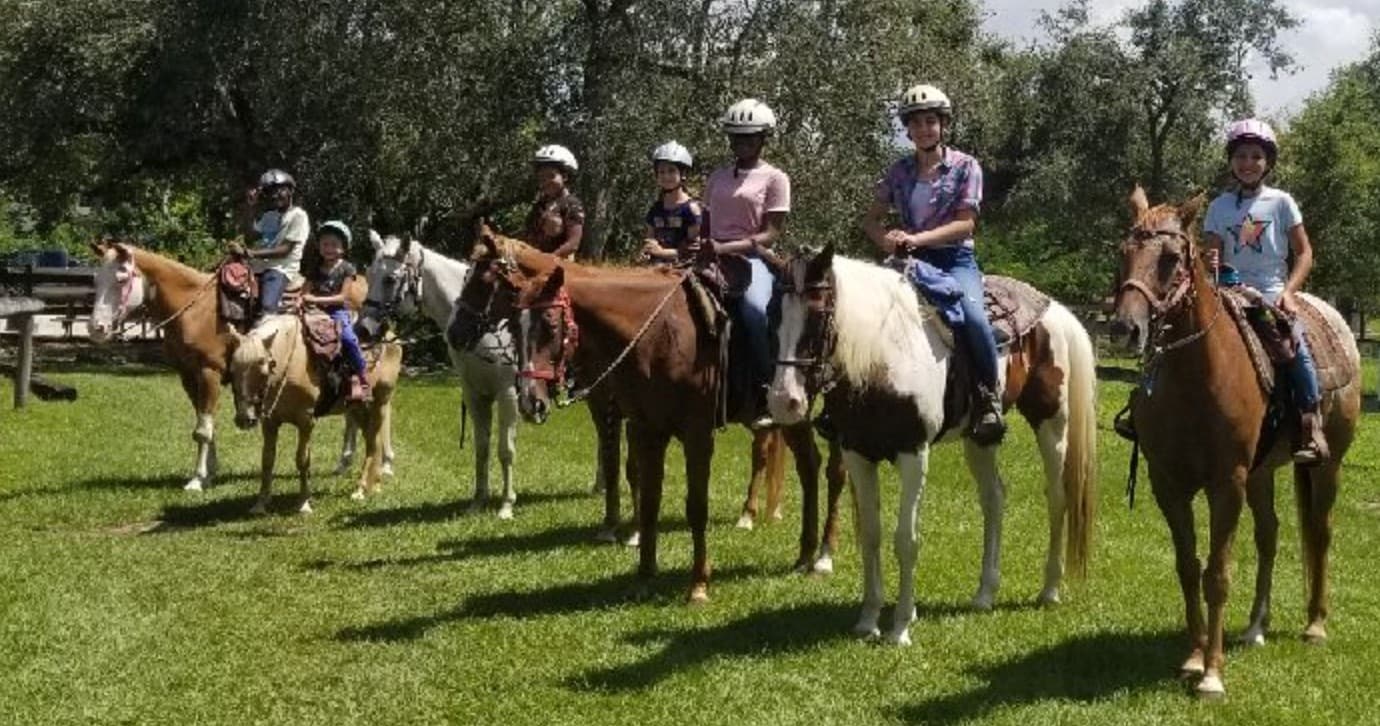 Horseback Riding Lesson and Farm Tour
