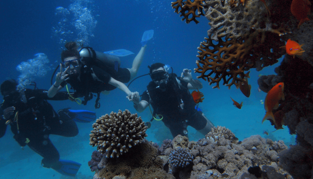 Open Water Scuba Diving Course- Group