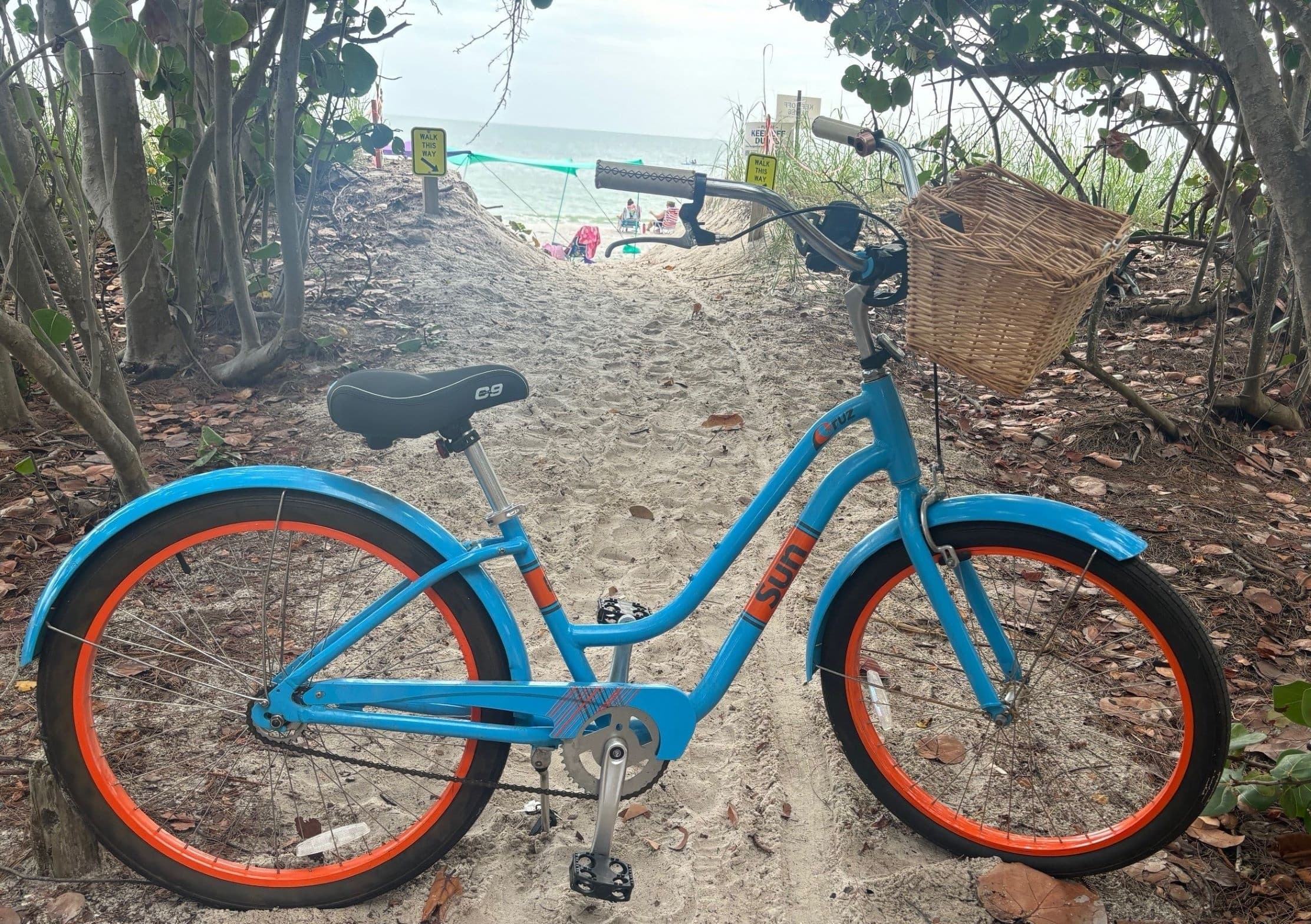One Speed Beach Cruiser Bicycle