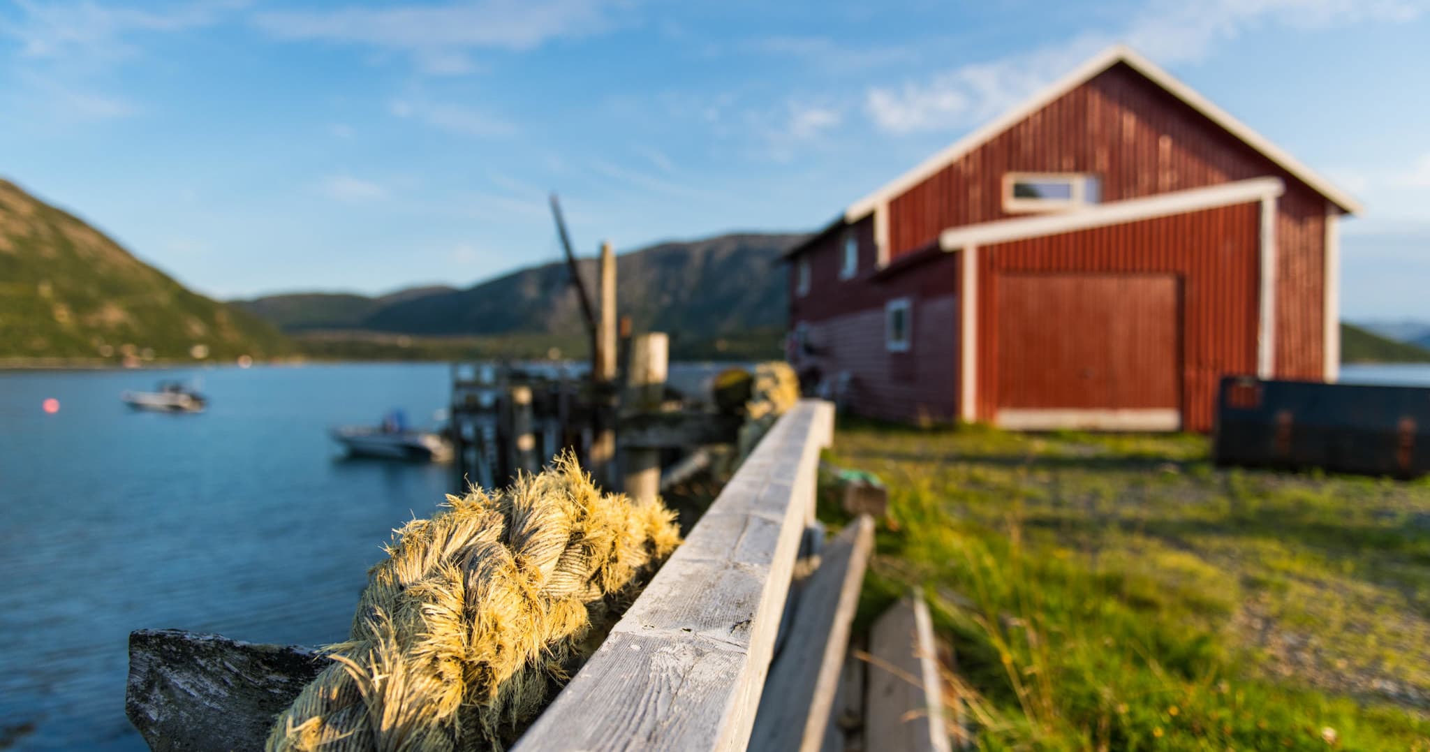 Private Sommarøy Arctic Day Trip - a round tour of Kvaløya & Arctic Fjords