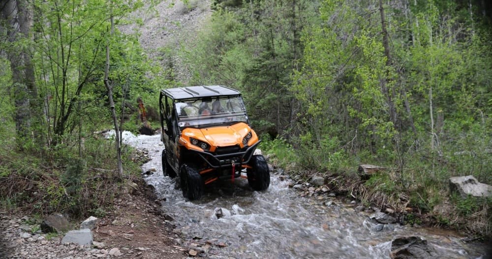 Trail Riding - Half Day