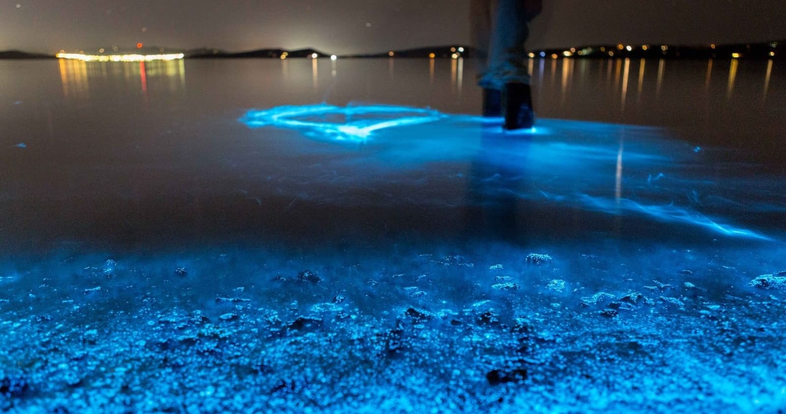 Florida Bioluminescence Kayaking Tour • Haulover (Titusville)
