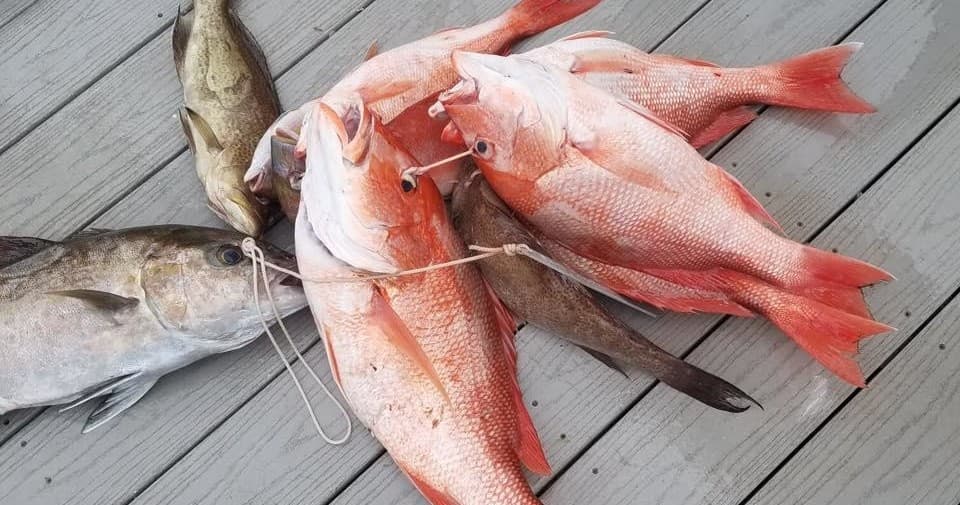 Destin Princess 6-Hour Fishing Trip