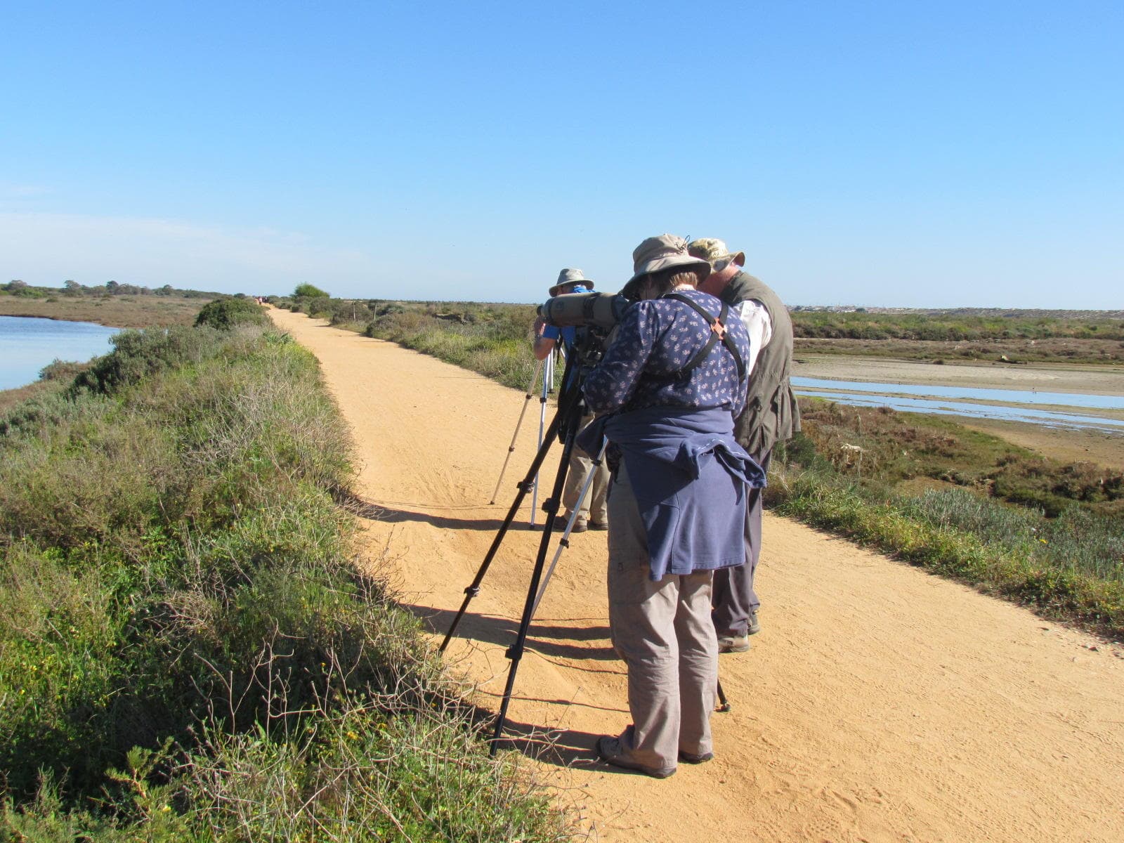 Half Day at Ria Formosa