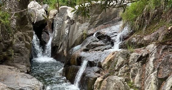 Rainforest Adventure Tours
