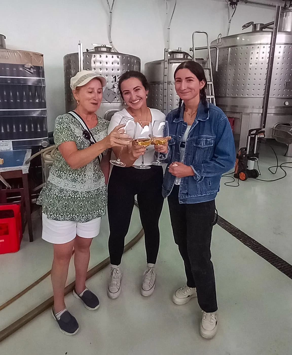 3 in 1 Tour from The Mountain to Cave with Wine