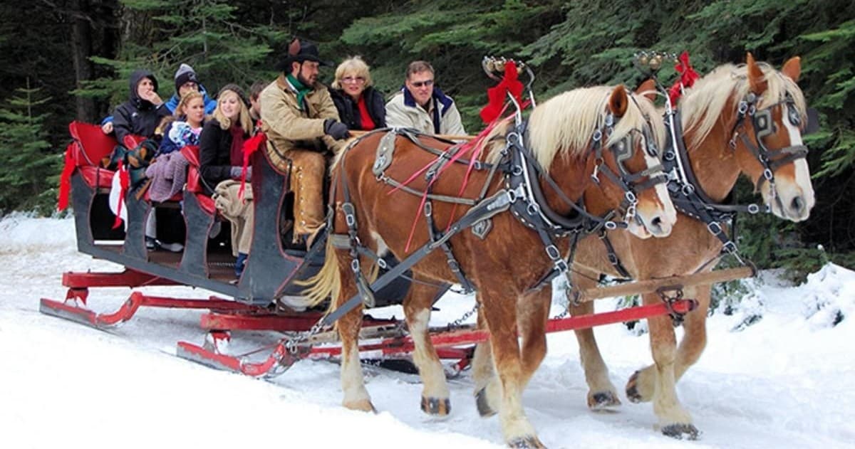 Sleigh Ride in Park City