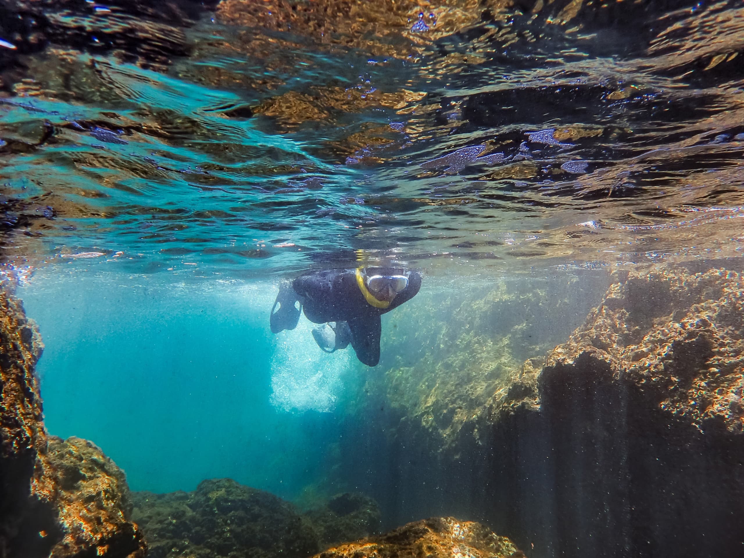 Mini Coastal Snorkeling