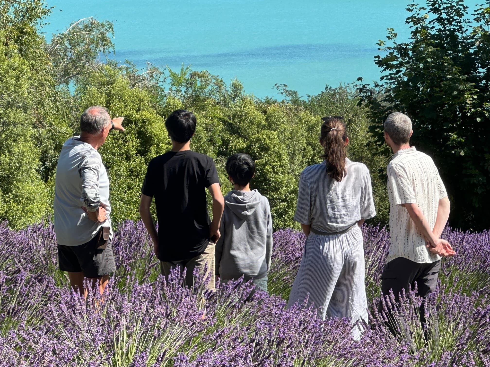 Arataki Conservation